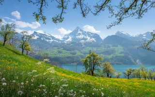 Mountain lake forest bloom bench - a mountain range free wallpaper