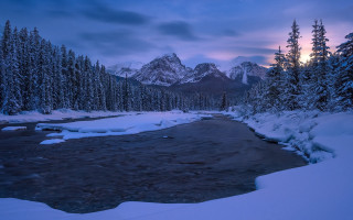 River snowy forest mountains cloudy - a few snow covered trees free wallpaper