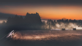Foggy field trees fence sunset 2 - tree and a fence free wallpaper