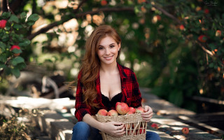 Woman basket apples christmas cosplay - a bench holding free wallpaper
