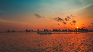 Boat sunset palm trees mountain - palm tree free wallpaper for desktop