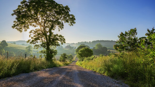 Dirt road tree field fence - a field in the background free wallpaper