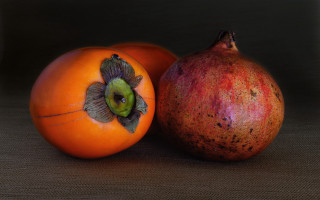 Oranges flower stilllife fullmoon polkadot - photorealistic imagery free wallpaper