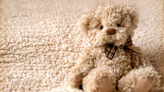 Teddy bear white carpet bow - andor basch free wallpaper