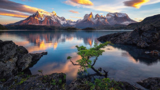 Tree shore lake mountains sunset - the shore of a lake free wallpaper