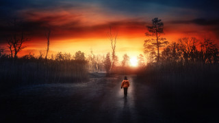 Sunset woods path person cinematic - a red sky in the background free wallpaper