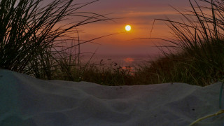 Sunset ocean grass sand dunes - a sunset over the ocean free wallpaper for desktop