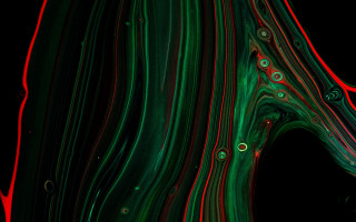 Black background red green swirls - edward dugmore free wallpaper