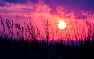 Sunset purple sky grass mountain - mystical free wallpaper for desktop