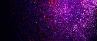 Confetti clock night sky stars - chiharu shiota free wallpaper