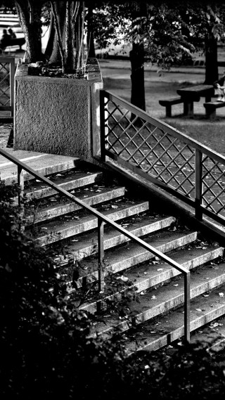 Man skateboard rail tree bench - a skateboard free wallpaper for mobile