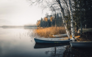 Boat shore tree lights city - a few boat free wallpaper