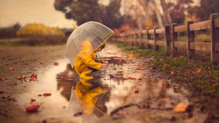 Little boy yellow raincoat clear - a little boy free wallpaper