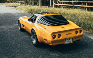 Yellow sports car road forest - side profile free wallpaper