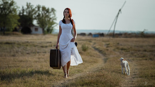Woman dress suitcase dog liminal - liminal space free wallpaper