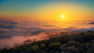 Sunset foggy forest bright sun - foggy free wallpaper
