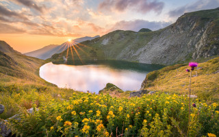 Lake mountains flower sunset nature - edi rama free wallpaper