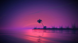 Palm tree silhouette purple sunset 3 - synthwave style free wallpaper