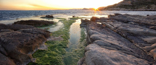 Sunset rocky beach green algae 2 - a rocky shoreline free wallpaper