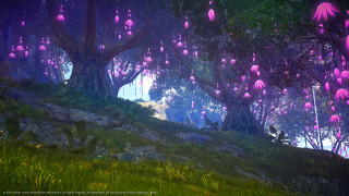 Forest pinkflowers grass hills butterflies - cryengine free wallpaper for desktop