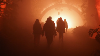 Foggy forest night sunset silhouette - a foggy forest free wallpaper