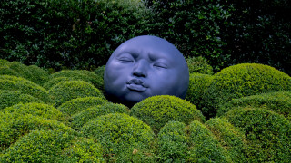 Blue face hedge garden surrealist - bush free wallpaper