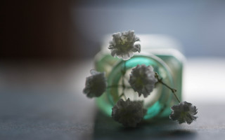 Small flower spiral object blurry - a small object free wallpaper