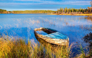 Lake boat trees sky fireworks - tall grass and trees free wallpaper