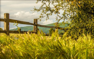Wooden fence grassy field mountains 2 - deep depth of field free wallpaper