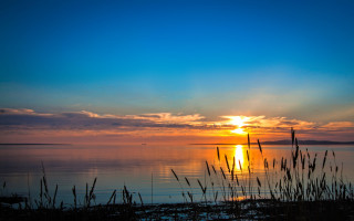 Sunset water tallgrass distantisland mattepaining - distant free wallpaper for desktop