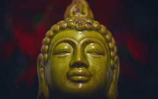 Buddha statue closed eyes red - a red background behind free wallpaper