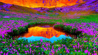 Flower field mountain lake reflection - a reflection of the sky free wallpaper