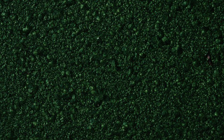 Green waterdroplets red object forest - kinetic pointillism free wallpaper for desktop