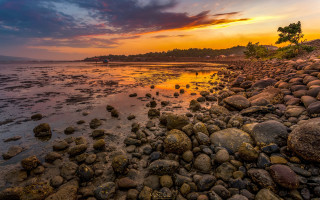 Sunset rocky beach dusk cityscape - a few tree free wallpaper for desktop