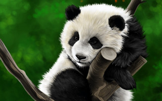 Panda birthday sign digital painting - happy birthday free wallpaper
