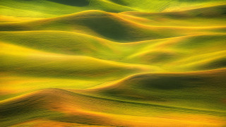 Field grass sunset sky clouds - a field free wallpaper