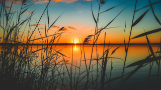 Sunset lake tallgrass orange sky 2 - tall grass free wallpaper