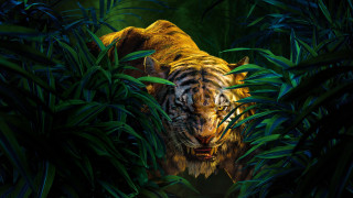 Tiger jungle leaves hidden matte - the jungle free wallpaper