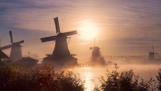 Windmills river forest mist city - top of a river next free wallpaper