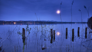Full moon lake reeds dock - full moon free wallpaper