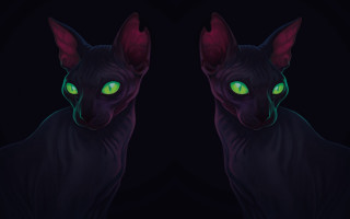 Black cat glowing green eyes 4 - symmetrical eye free wallpaper