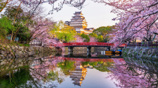 Bridge cherry blossoms pagoda cityscape - eishōsai chōki free wallpaper