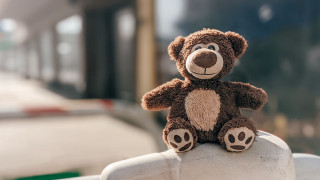 Teddy bear fence post building - toy free wallpaper for desktop