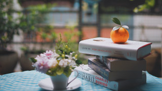 Books orange vase flower stilllife - bright studio setting free wallpaper