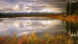 Lake grass trees mountains clouds - tall grass and trees free wallpaper