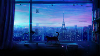 Cat window city night alena - a view of the city free wallpaper