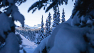 Snowy mountain forest sky blurry - eric deschamps free wallpaper