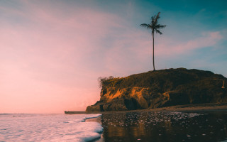 Palm tree rocky beach sunset - cinematic landscape free wallpaper