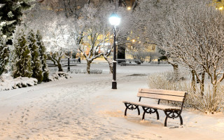 Bench snowy park night streetlight 10 - night free wallpaper