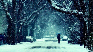 Person walking snowy street umbrella - car free wallpaper